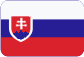Bezkontaktní identifikační systém Slovensky